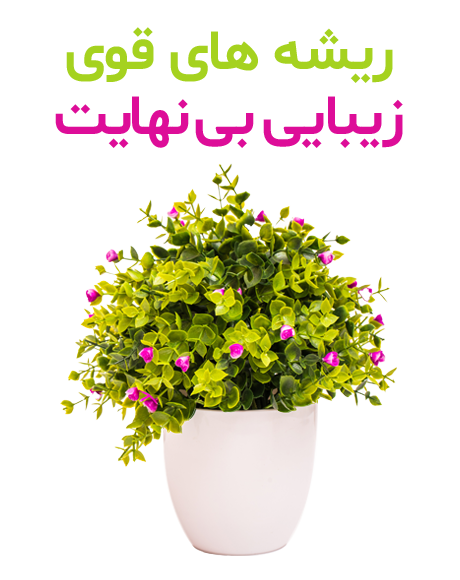 گل و گیاه